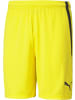 Puma Sporthose "TeamLIGA Shorts" in Gelb