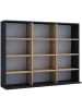 VCM  Holz CD DVD Standregal Bücherregal Regal Megosa L in Anthrazit / Honig-Eiche