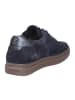 Paul Green Sneaker in blau
