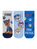 Paw Patrol 5er Pack Paw Patrol Socken Sneaker Kindersocken Söckchen in blau/grau