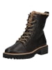Paul Green Stiefelette in Moro