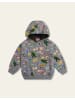 Oilily Har Hoody in Grau