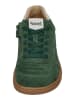 KOEL Sneaker Low DUSTIN SUEDE  in braun