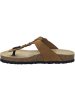 Josef Seibel Sandale Hermine 15 in beige