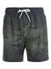 Cruz Badeshorts Quinland in PRINT 8312