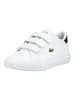 Lacoste Sneaker POWERCOURT POWERCOURT in Weiß/Schwarz