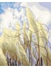 Ravensburger Malprodukte CreArt Gallery Wall - Gras im Wind CreArt Adults Trend Ab 12 Jahre in bunt
