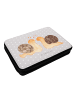 Mr. & Mrs. Panda Etui Schnecken Liebe ohne Spruch in Grau Pastell