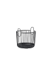 Zone Denmark Korb Inu in Black