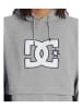 DC Shoes Sweatshirt in Grau