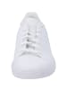 adidas Schnürschuhe in white/white/halo mint