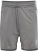 Hummel Short "Lead 2.0 Training Shorts" in Grau