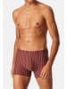 Schiesser Retro Short / Pant 95/5 Essentials - Cotton in Schwarz / rot