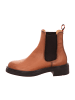 LLOYD Chelsea Boots in Braun