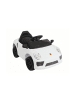 Wisam® Batterieauto WMT-666