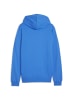 Puma Sweatshirt teamGOAL Casuals Hoody in blau