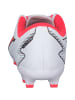 Puma Sportschuhe in puma white-puma black
