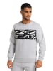 Bruno Banani Sweater RICHARDSON in Grau / Melange
