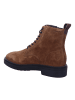Gant Stiefeletten/Boot in braun