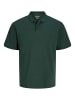 Poloshirt in Darkest Spruce 1