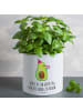 Mr. & Mrs. Panda XL Blumentopf Avocado Feier mit Spruch in Weiß