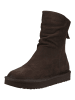 Paul Green Stiefelette in Mocca