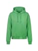 alife and kickin Sweatshirt 'DanyaAK A' in grün