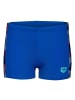 Arena Candies Swim Short in Blau