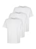 Tom Tailor Shirt 3Er Pack Ohio in weiss