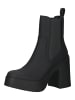 Steve Madden Stiefelette in Schwarz