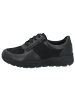 Solidus Schnürschuhe Mia in schwarz