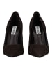 Steve Madden Pumps in Braun