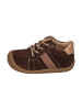 KOEL Sneaker Low BLAKE SUEDE in braun