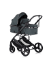Chipolino Kinderwagen 3 in 1 Amore in grün