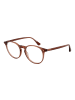 Web Unisex Optische Fassungen Panto Braun