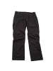 Jack Wolfskin Wanderhose Rainfall in Grau