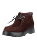 Högl Stiefelette 2-102435 in Braun