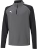 Puma Pullover "TeamLIGA 1/4 Zip Top Jr" in Grau