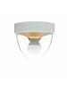 Licht-Erlebnisse Deckenlampe Ø 18 x (H)15.5 cm in Weiß Transparent Gold
