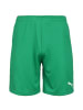 Puma Trainingsshorts TeamGoal 23 Knit in grün