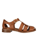 Clarks Sandalen Hana in 5241 Tan Leather