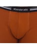 Abanderado Boxershorts in Brown