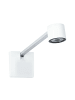 paulmann LED Bilderleuchten SET Adelia 2700K