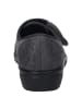 Josef Seibel Freizeitschuhe in grau