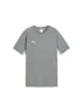 Puma Shirt "teamEVOSTRIPE Tee JR" in Grau