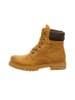 PANAMA JACK Klassische Stiefelette in braun
