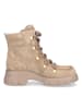 Paul Green Schnürboot in Beige