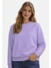 U.S. Polo Assn. U.S. POLO ASSN. Damen Sweatshirt P034 in Lila