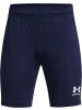 Under Armour Sportshorts "Y Challenger Core Short" in Blau
