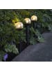 STAR Trading 3x LED Solar-Poller ,Roma, Kunststoff + Glas, schwarz, warmweiß, H 23